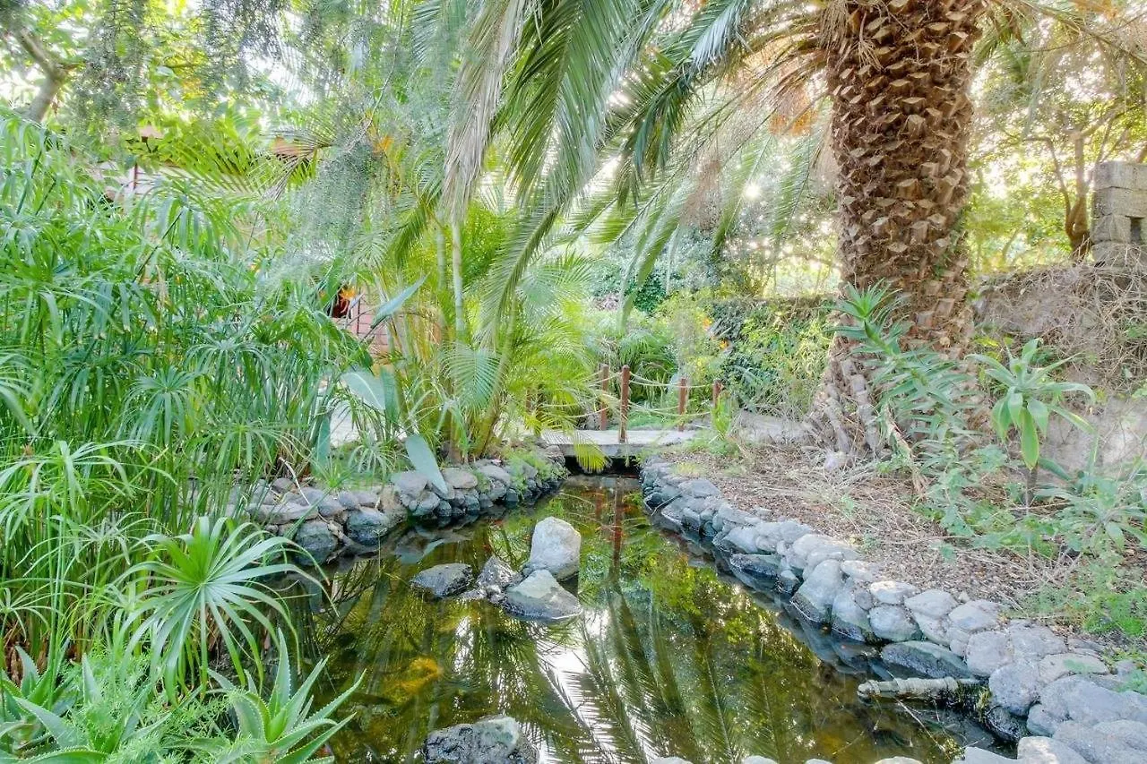 Villa Mimosa Arafo 0*,  Spanien